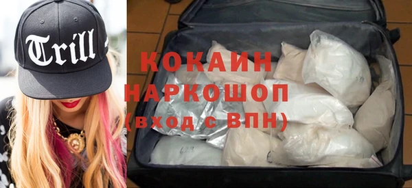 эйфоретик Алзамай