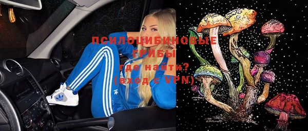 эйфоретик Алзамай