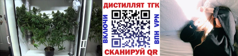 где купить наркоту  Бахчисарай  Дистиллят ТГК THC oil 