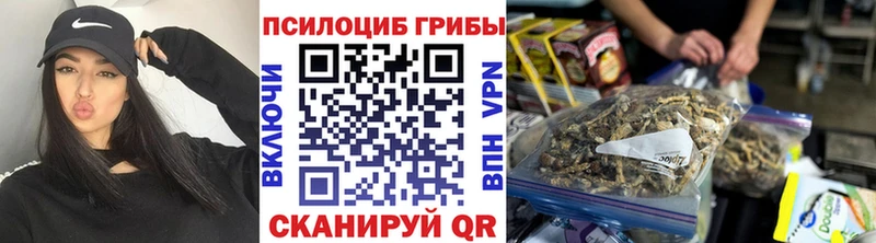 Псилоцибиновые грибы Cubensis  MEGA вход  Бахчисарай 