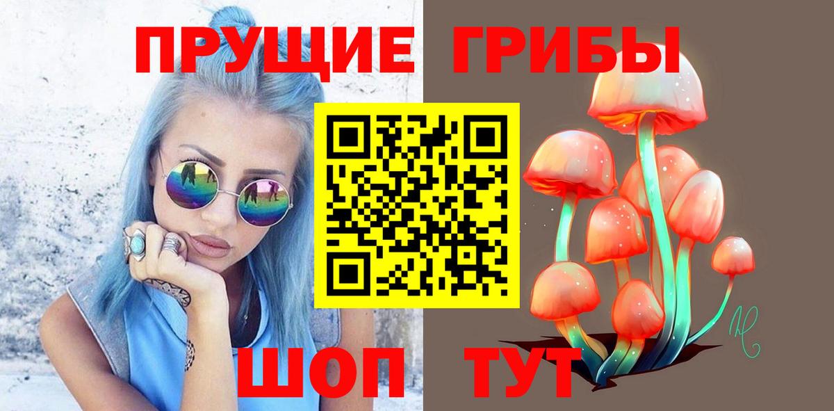 Бахчисарай  Псилоцибиновые грибы мицелий  Вход с VPN  Псилоцибиновые грибы Psilocybe 