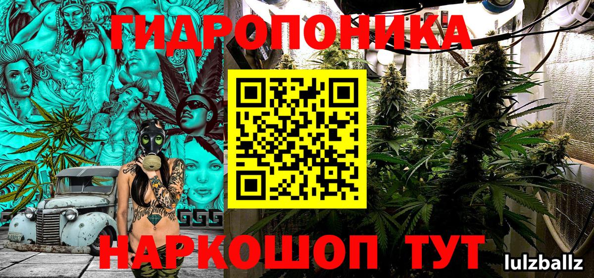 Шишки марихуана сатива Бахчисарай